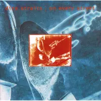Universal Music Dire Straits - On Every Street (CD) (Remastered)