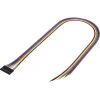 TRU COMPONENTS Steckbuchse mit Litze