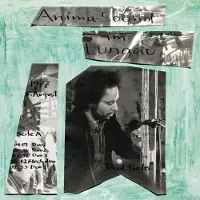 Coast2Coast Anima-Sound, Limpe Fuchs, Paul Fuchs - Im Lungau (LP)