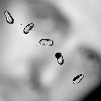 Pias Peter Gabriel - Up (2 LP)