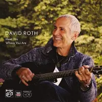 Coast2Coast David Roth - Meet You Where You Are (2 LP)