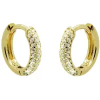 Karma Oorringen rond strass