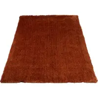 Veer Carpets Karpet lago 63 160 x 230 cm