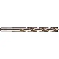 Milwaukee METAALBOOR HSS-G THUNDERWEB 12,5 X 151 MM (5 STUKS)