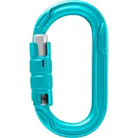 Edelrid Oval Power 2500 Triple - Karabiner Icemint Unieke maat