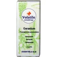 Volatile Geranium maroc