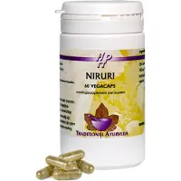 Holisan Niruri