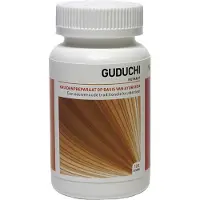 Ayurveda Health Guduchi tinospora