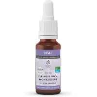 Bach bloesems mengeling 41 concentratie bio