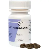 Holisan Chandracin
