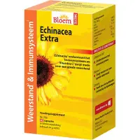 Bloem Echinacea extra