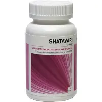 Ayurveda Health Shatavari