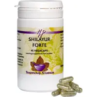 Holisan Shilayur Forte Capsules