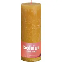Bolsius Stompkaars Geel 19 cm