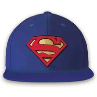 Logoshirt Dc Comics Snapback Superman Logo Pet