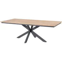 4 Seasons Outdoor Minerva dining tuintafel 220x95xH75 cm teak alu 4 Seasons