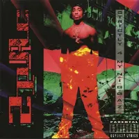 Universal Music 2Pac - Strictly 4 My N.I.G.G.A.Z... (2 LP)
