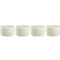 Blomus Frable refill set van 4 D5cm agave