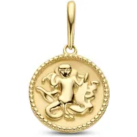New Bling 9NBG-0282 Gouden Sterrenbeeld - Maagd - 10 mm Doorsnee - 14 karaat - Goud