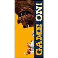 Huismerk Strandlaken The Secret Life of Pets Game On