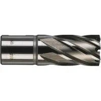 Milwaukee FREESKROON HSS 20 X 30 MM