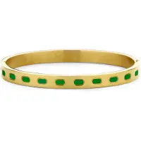 CO88 Collection 8CB-91202 Stalen Armband met Emaille - Bangle - 6mm - 58x49mm - Staal - Groen - Goudkleurig