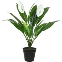 OEM Kunst Spathiphyllum
