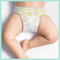 Pampers Premium Protection maandbox maat 3 (6-10 kg) 204 luiers
