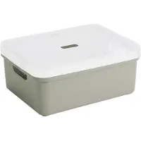 Sunware opbergbox/mand 24 liter lichtgroen kunststof met transparante deksel - Opbergbox