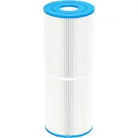 W'eau spafilter type 6 (o.a. SC706 of C-4950)