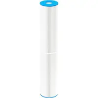 W'eau spafilter type 69 (o.a. SC769 of C-5351)