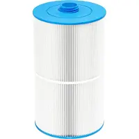 W'eau spafilter type 22 (o.a. SC722 of C-8380)