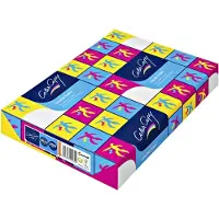 Color Copy SRA3 Kopieerpapier 250 g/m² Glad Wit 160 CIE 125 Vellen