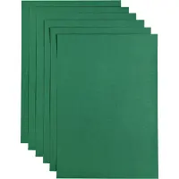 Papicolor Kopieerpapier A4 100gr 12 vel dennengroen - 4 stuks