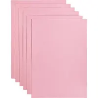 Papicolor Kopieerpapier A4 200gr 6 vel babyroze - 4 stuks