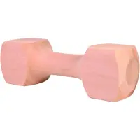 Trixie Apporteerblok