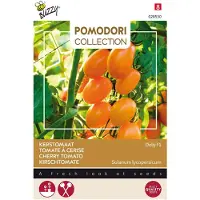 Buzzy Pomodori Groentezaad Kerstomaat (Lycopersicon Esculentum 'Dolly' F1)