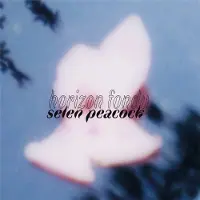 OUTHERE Selen Peacock - Horizon Fondu (CD)