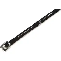 Beeztees Hondenhalsband Buffalo Zwart 40 X 1,7 Cm
