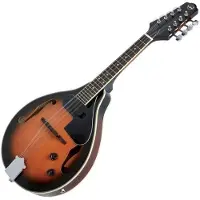 Vgs 505440 Sunburst