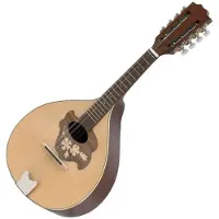 Gewa Platte Mandoline Pro Arte Model 2 Hoogglans