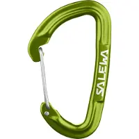 Salewa Hot G3 Wire karabiner (Maat One Size, Groen)