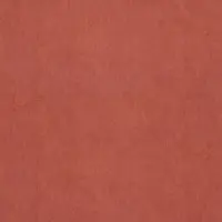 Dutch Wallcoverings FC Chroma 40-Grenadine- vliesbehang - 10m x 53cm