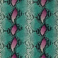 Dutch Wallcoverings FC Jungle Club Mamushi 40-Teal - papierbehang - 10m x 53cm