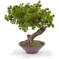 Maxifleur Kunstplanten Pinus Bonsai kunstplant in schaal 40cm