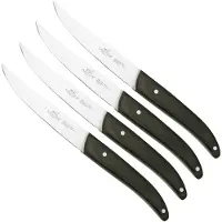 Lion Sabatier International Occitan 901080, 4-delige steakmessenset