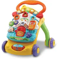 Vtech 2 in 1 Baby Walker - Loopwagen Baby - Educatief Baby Speelgoed - Licht & Geluidseffecten - Nederlands Gesproken Speelgoed - Cadeau - 9 tot 36 Maanden
