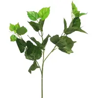 Nova Nature Polystichum varen groen 46cm |