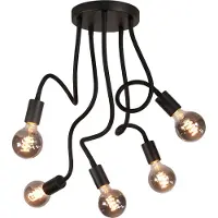 Coppens Plafondlamp Flex 5 lichts