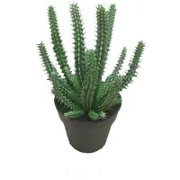 Coppens Kunstcactus Jean in pot 23cm